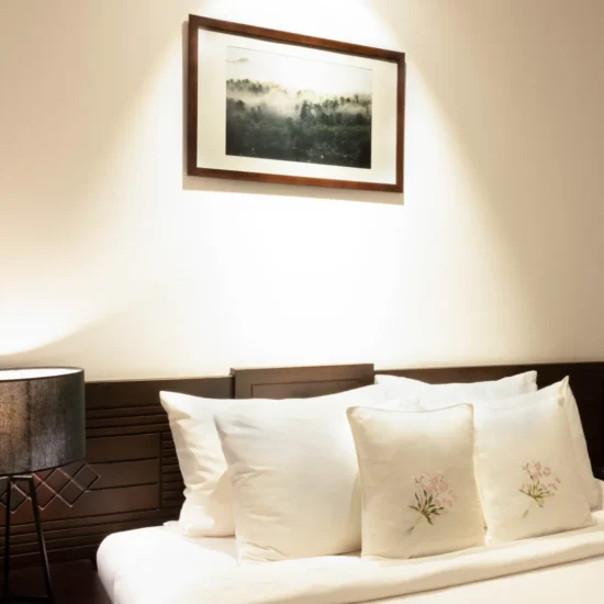 zensuite (1)