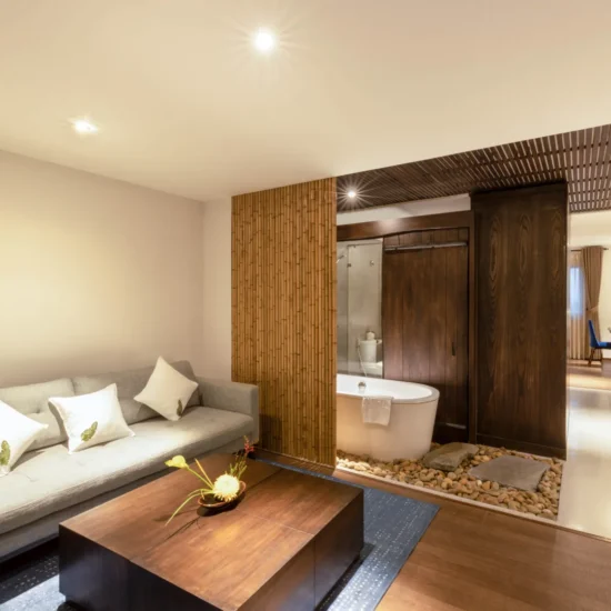zensuite (10)