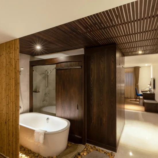 zensuite (12)