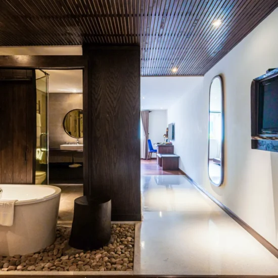 zensuite (6)