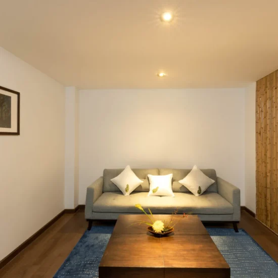 zensuite (9)